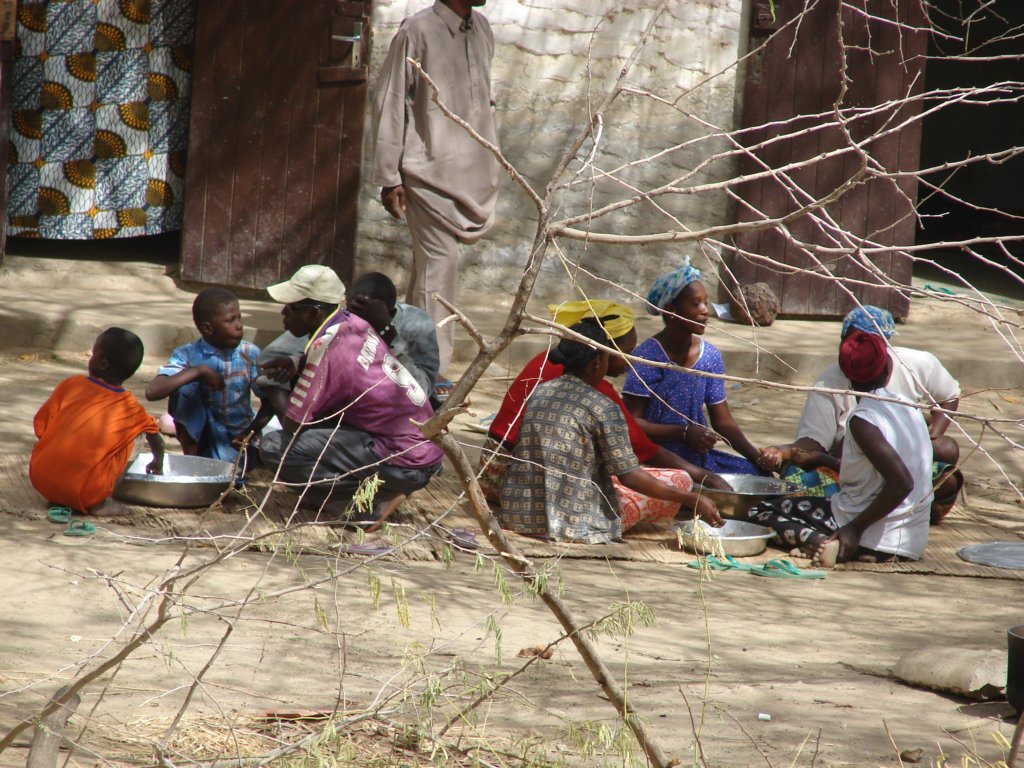 Pour lutter contre la malnutrition au Sénégal, les ménages invités à changer leurs habitudes alimentaires