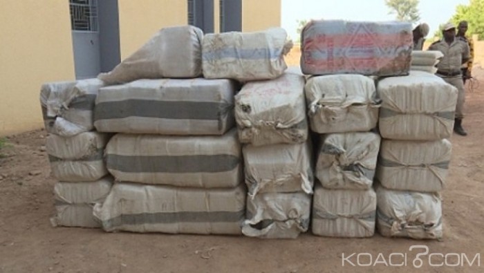 Burkina Faso: Près de 2 tonnes de drogue saisies à Nako