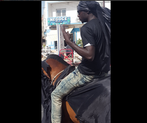 Photos : un cheval et son cavalier à la manifestation de Y'en à marre