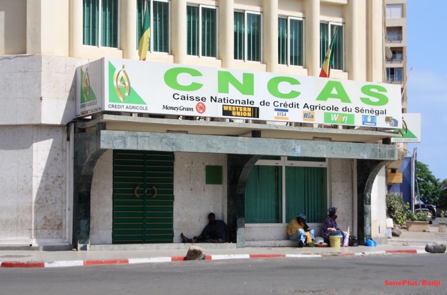 80 milliards  FCFA dans le vent: Cncas, sur les traces d’un ignoble scandale