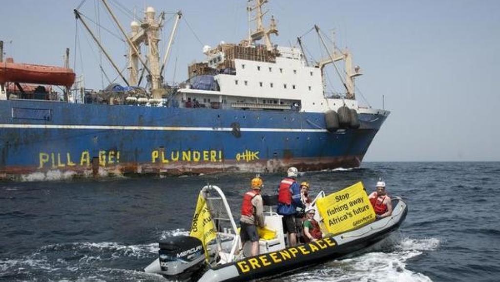 Pêche illicite en Afrique de l’Ouest : Greenpeace immobilise 11 bateaux