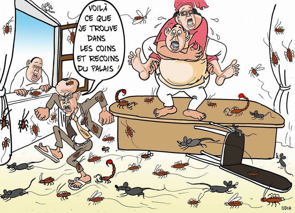 Yakham Mbaye, Aliou Sall, les scorpions et les frelons... (Par ODIA)