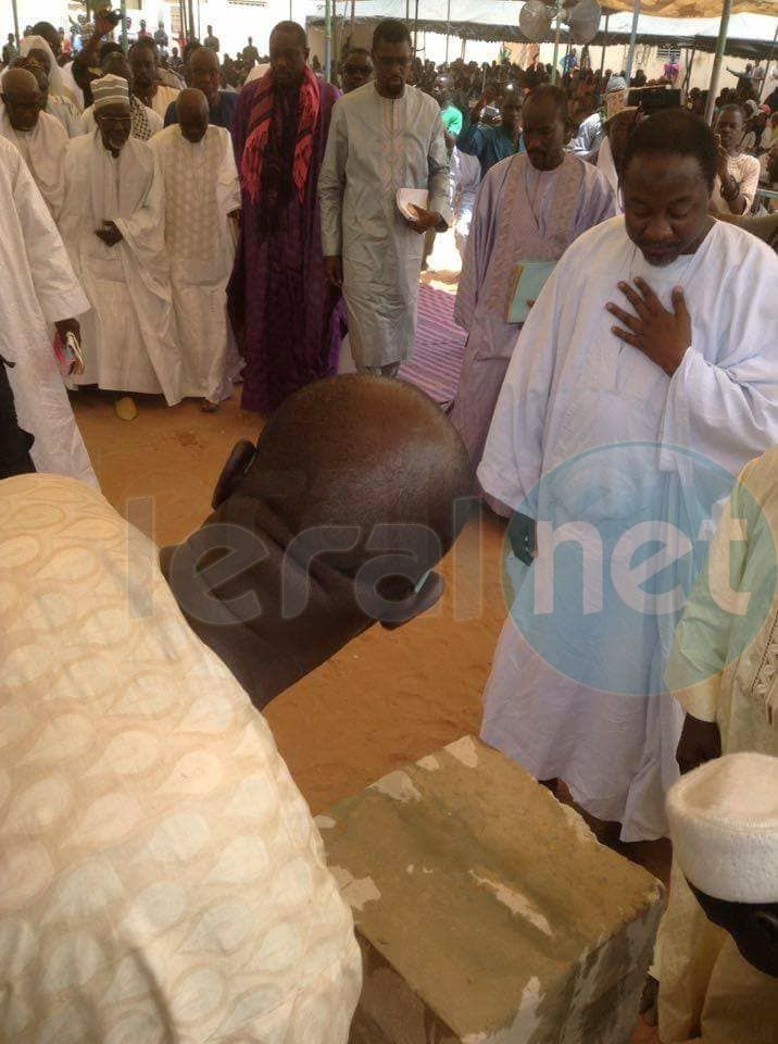 Lettre à Mame Cheikh Mbaye Djily