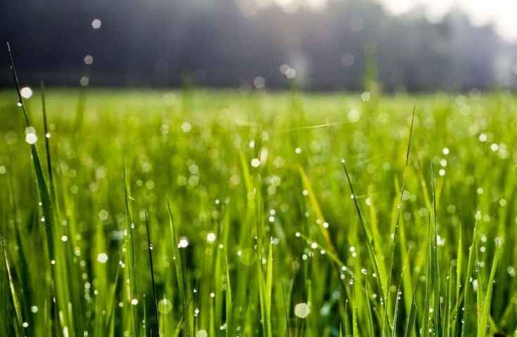 Hivernage 2017 : beaucoup de pluie, un démarrage précoce, annonce l'Anacim