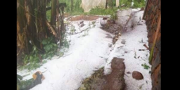 Phénomène Inhabituel: la «neige» tombe au Cameroun? Photos