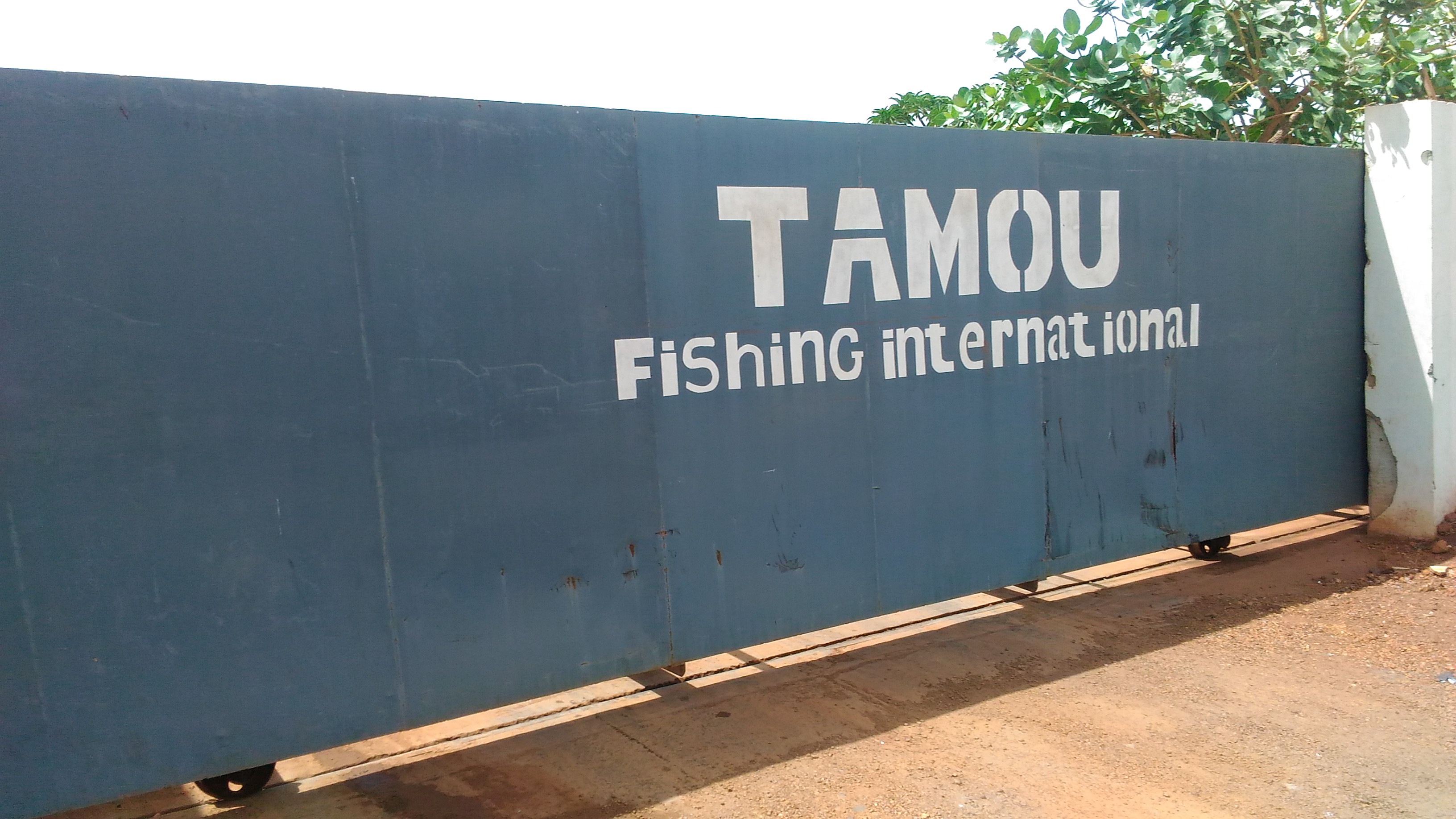 Diamniadio : L’entreprise chinoise Tamou Fishing International critiquée pour ses "méthodes esclavagistes" 
