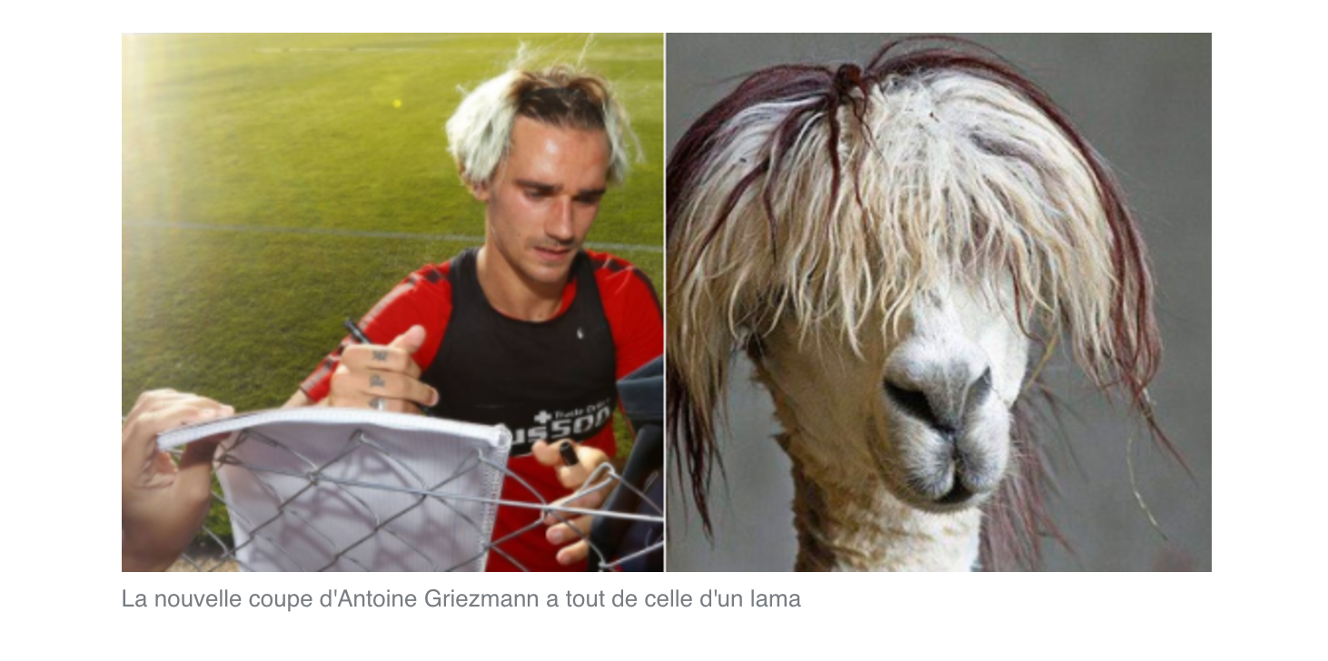 La nouvelle coupe de cheveux de Griezmann a tout de celle d'un lama (et ce n'est pas la première fois)