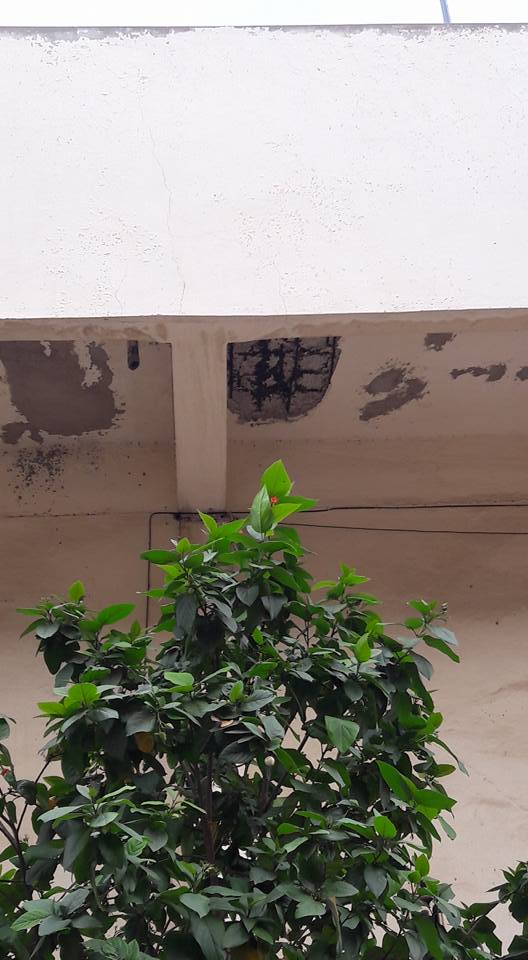 Alerte: Le stade Iba Mar Diop en état de délabrement avancé (images)