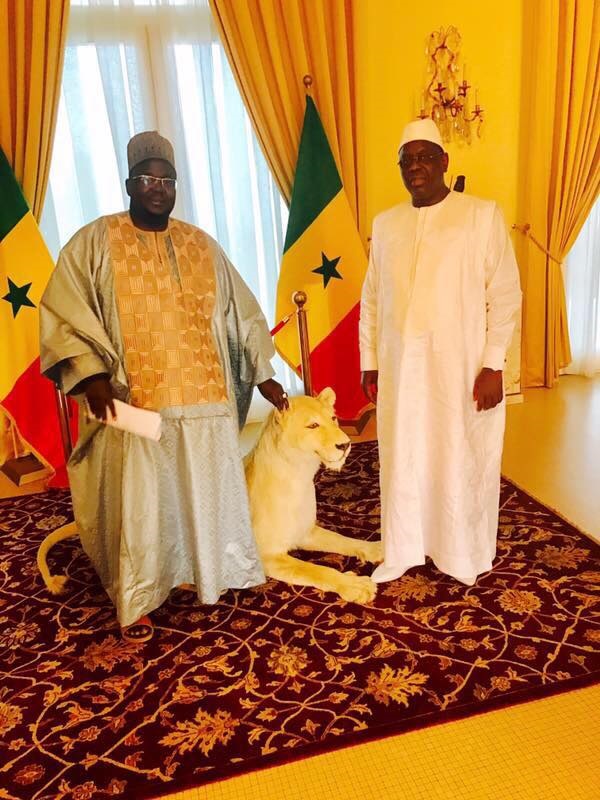 Médina Baye: Le RP de Cheikh Mansour Niass rafle la mise, confortant la victoire de Bby…