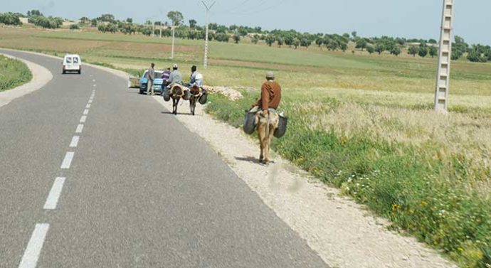 Thiès, Podor, Kolda… : Quand le monde rural sauve la peau de Bby  