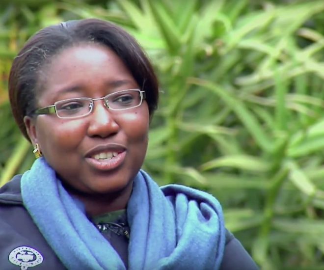 Madjiguène Sock, Directrice du bureau DALBERG