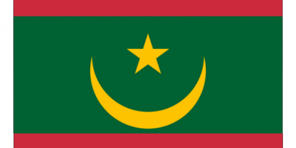 Mauritanie : Le changement de drapeau et la suppression du Sénat sont officiels