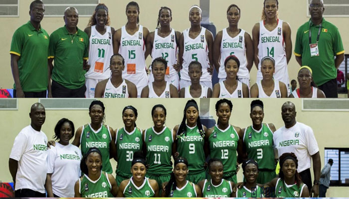Afrobasket Féminin : Le duel s'annonce tendu entre les "D'Tigers" du Nigéria et les "Lionnes" du Sénégal