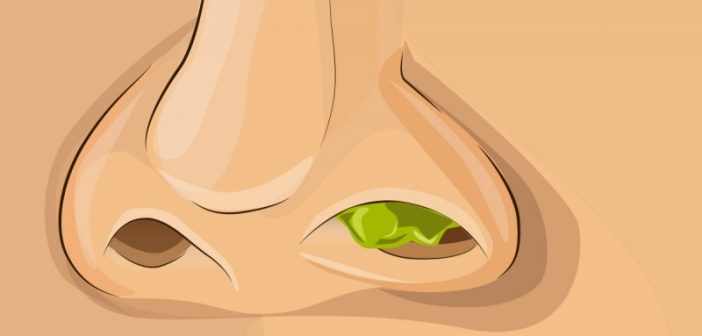 Santé : les sécrétions nasales sont bonnes pour notre corps (étude)