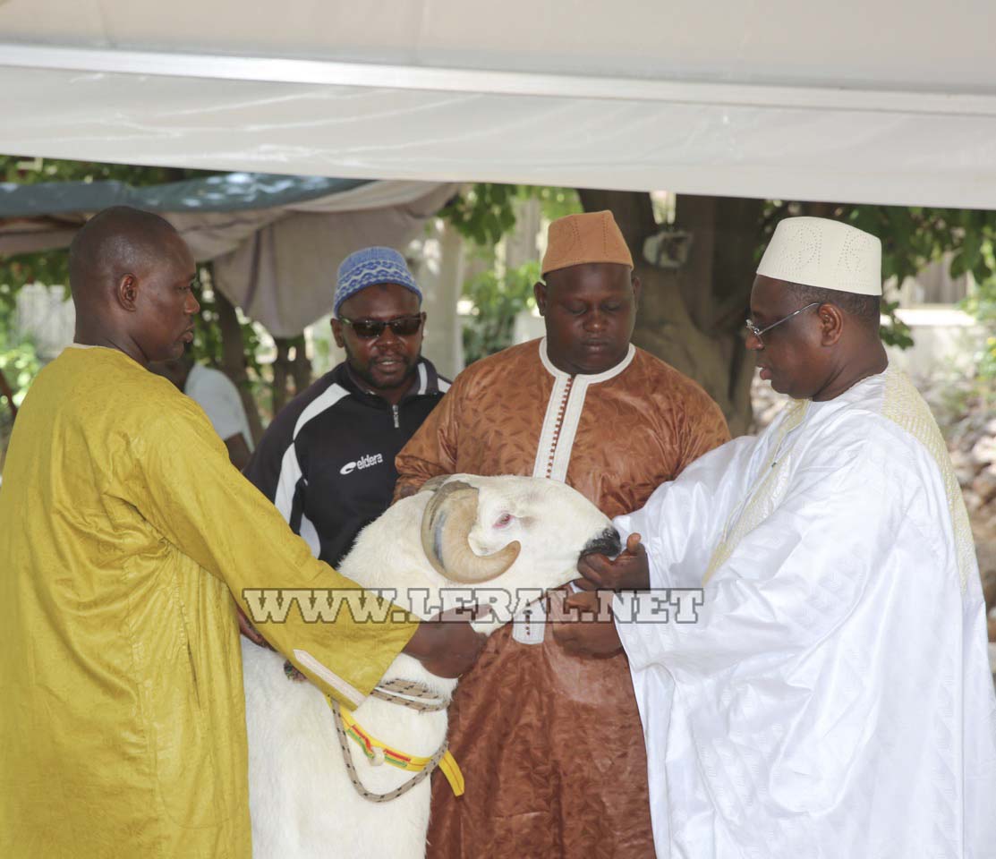 (13 photos ) Tabaski 2017: Le Président Macky SALL à la Grande Mosquée de Dakar