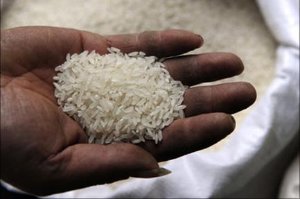 Sécurité alimentaire en riz en Afrique de l’Ouest : Syngenta juge ‘’insuffisante’’ la production sur le continent
