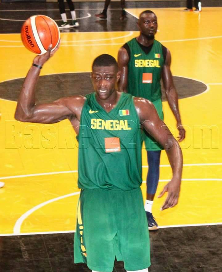 Afrobasket masculin 2017