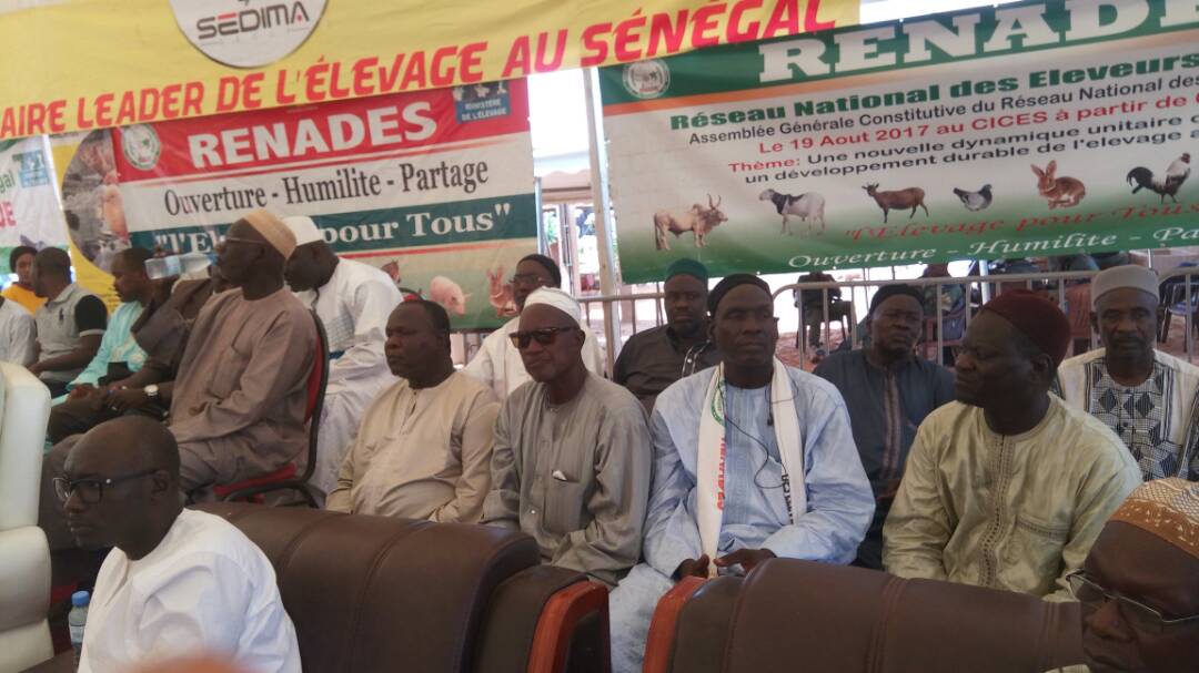 Cérémonie de remise de géniteurs Ladoum aux éleveurs de Diourbel,  Bambey et Gueoul par le Réseau National des Eleveurs du Sénégal (RENADES) 