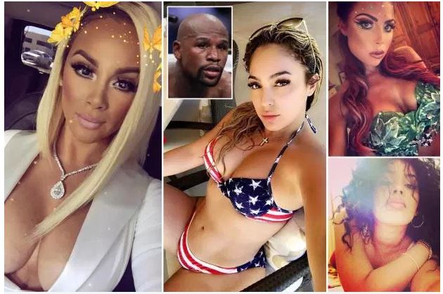 Photos : Floyd Mayweather : "J'ai sept petites amies", contemplez les 7 nymphes de l'excentrique boxeur