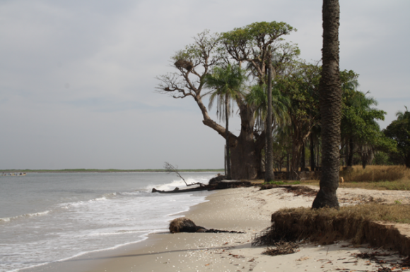 L’île de Dionewar, l’heure de la riposte face aux changements climatiques