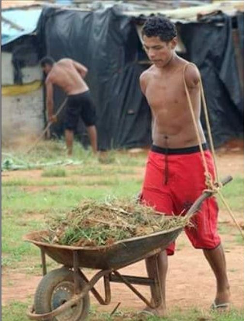 Il n’a qu’un seul bras mais il travaille dur chaque jour pour nourrir ses parents handicapés (Photo)