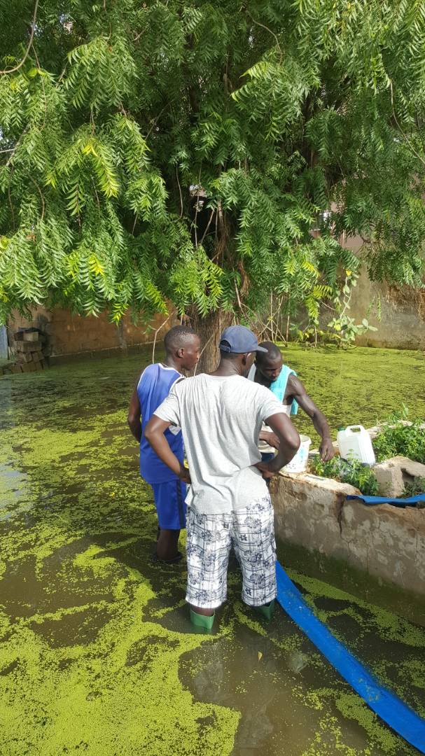 10 Photos: Daouda Faye, le frère de Marième Faye Sall à Touba, pour aider les populations de Touba ndamatou