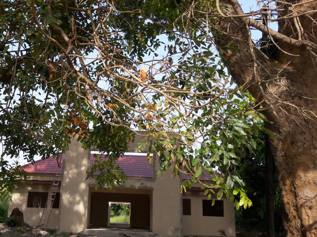 Droit de réponse - Ziguinchor : Les cours de l’Université Assane Seck se déroulent dans des conteneurs