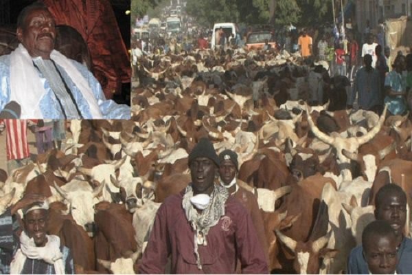 Magal Touba 2017 : Cheikh Béthio attend plus de 4000 bœufs et plus d’un milliard en guise de «aadiya »