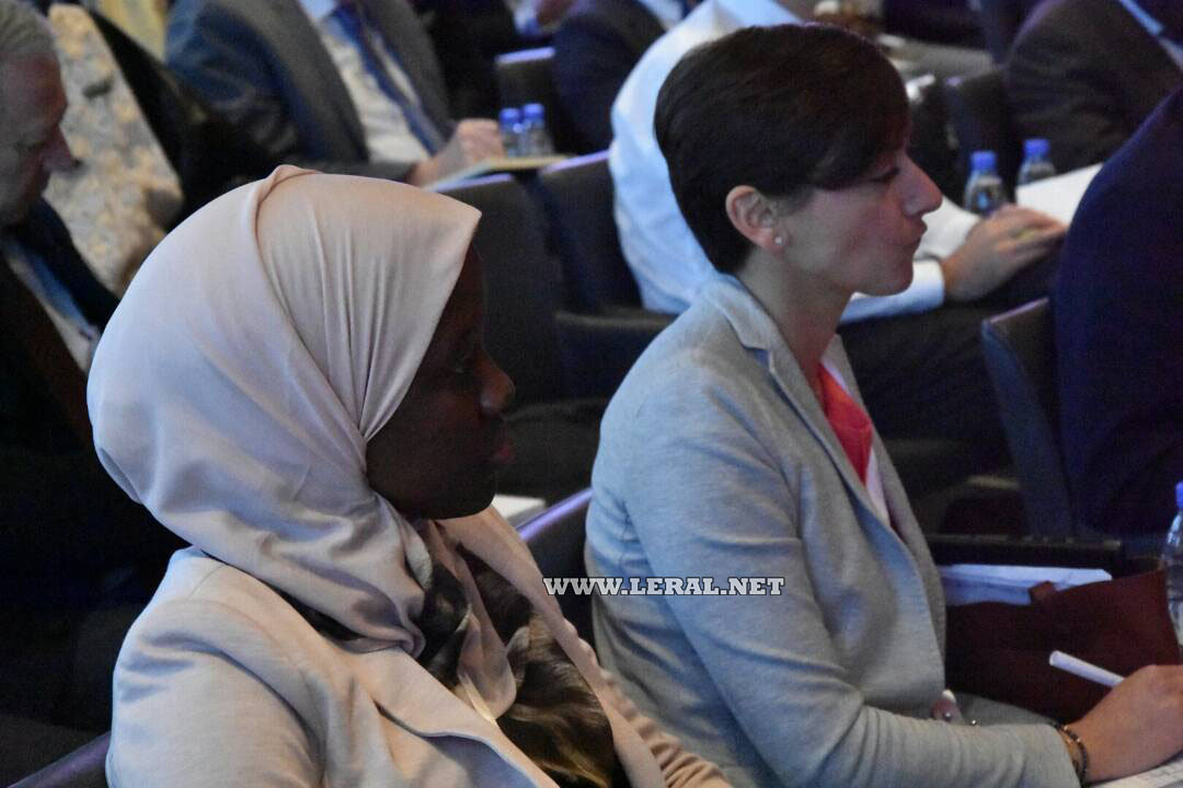 Images: 13e session du Conseil Présidentiel de l'Investissement  (Cpi)