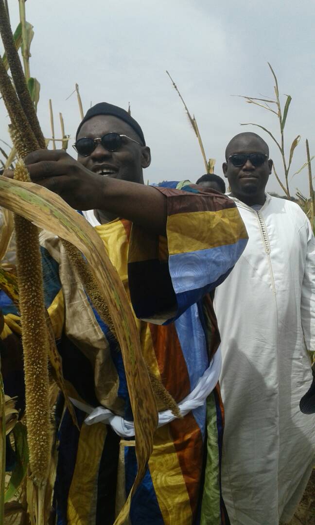 Photos: Ngoobu Lagane 2017, Le Barkèlou de Samuel Sarr 