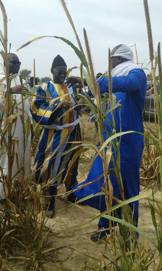 Photos: Ngoobu Lagane 2017, Le Barkèlou de Samuel Sarr 