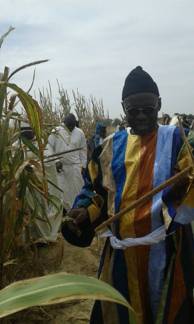 Photos: Ngoobu Lagane 2017, Le Barkèlou de Samuel Sarr 
