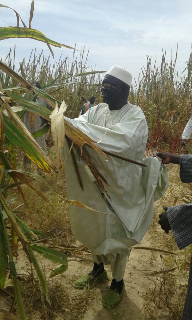 Photos: Ngoobu Lagane 2017, Le Barkèlou de Samuel Sarr Photos: Ngoobu Lagane 2017, Le Barkèlou de Samuel Sarr