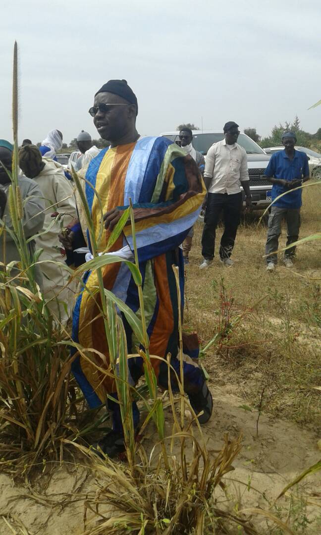 Photos: Ngoobu Lagane 2017, Le Barkèlou de Samuel Sarr 