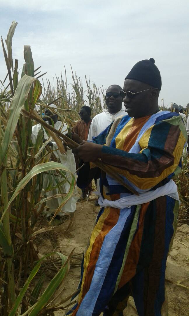 Photos: Ngoobu Lagane 2017, Le Barkèlou de Samuel Sarr 