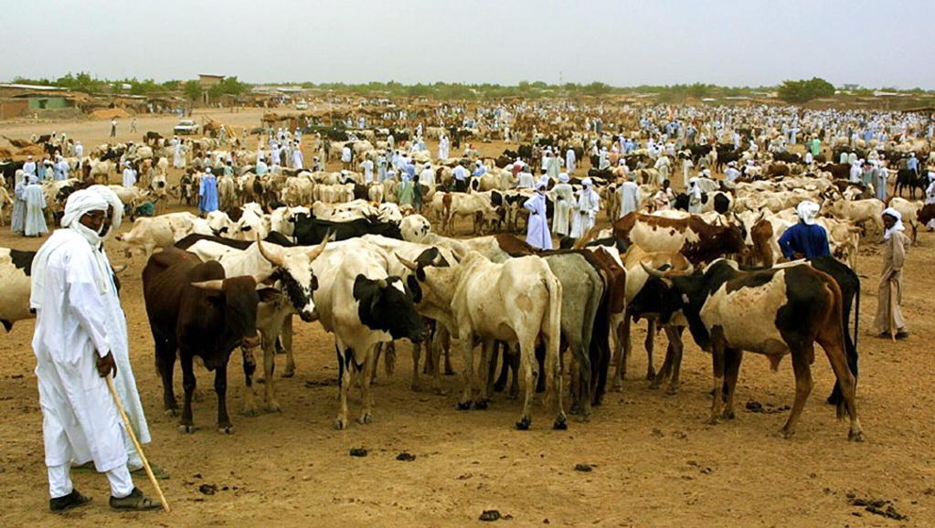 Journée nationale de l’Elevage: Les ambitions du Président Sall exposées