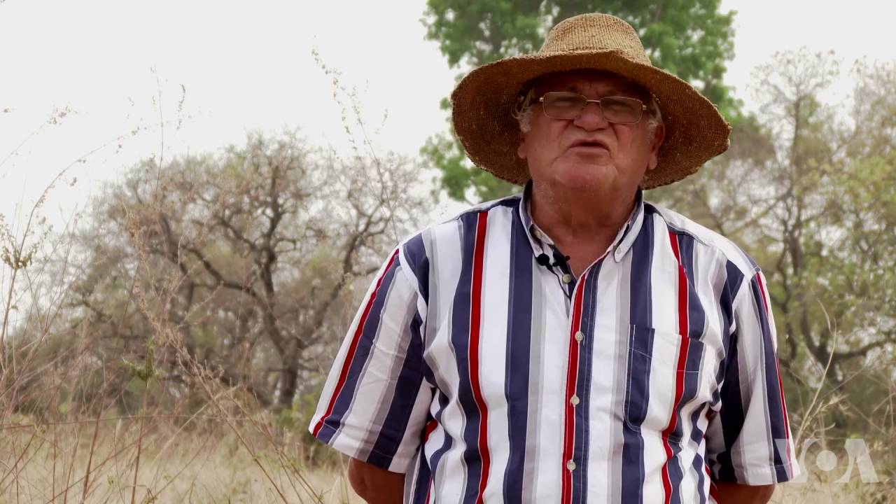 Vidéo-Massacre de Boffa Bayottes: Les terribles révélations de l’ancien ministre Ali Haïdar