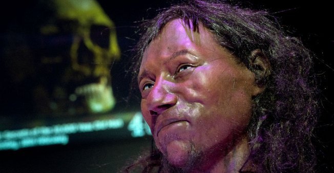 Justin Tallis, AFP | Le buste de "Cheddar man", réalisé à partir du plus vieux squelette humain retrouvé en Grande-Bretagne, est présenté à la presse le 6 février 2018, au Muséum d'histoire naturelle de Londres.