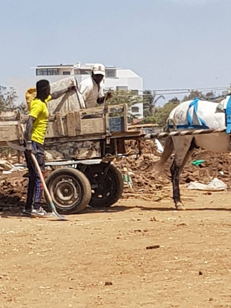 Alerte : Nouveau Mbeubeuss en gestation sur la Corniche, une vraie bombe écologique entre Olympic club et Imodsen Alerte : Nouveau Mbeubeuss en gestation sur la Corniche, une vraie bombe écologique entre Olympic club et Imodsen