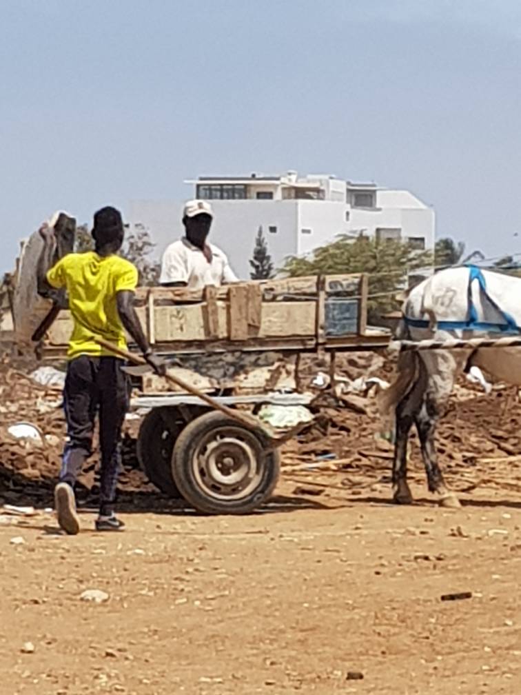 Alerte : Nouveau Mbeubeuss en gestation sur la Corniche, une vraie bombe écologique entre Olympic club et Imodsen