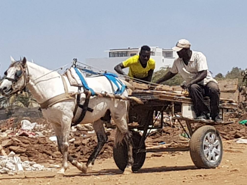 Alerte : Nouveau Mbeubeuss en gestation sur la Corniche, une vraie bombe écologique entre Olympic club et Imodsen Alerte : Nouveau Mbeubeuss en gestation sur la Corniche, une vraie bombe écologique entre Olympic club et Imodsen