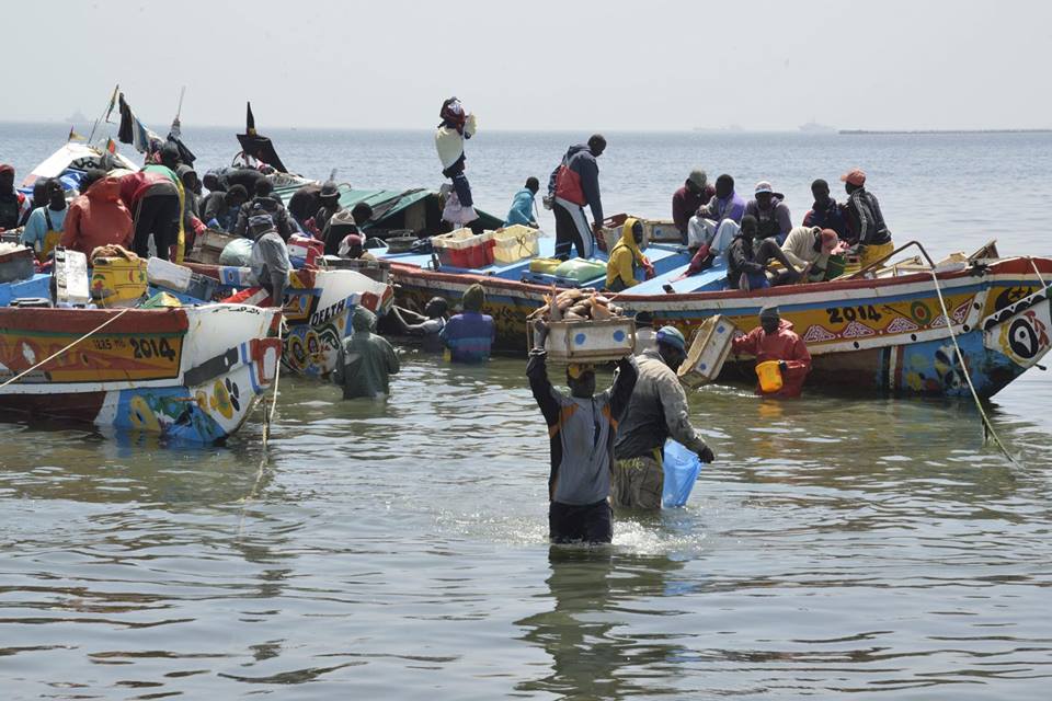 Près de 400 migrants sauvés dans le désert près de l'Algérie