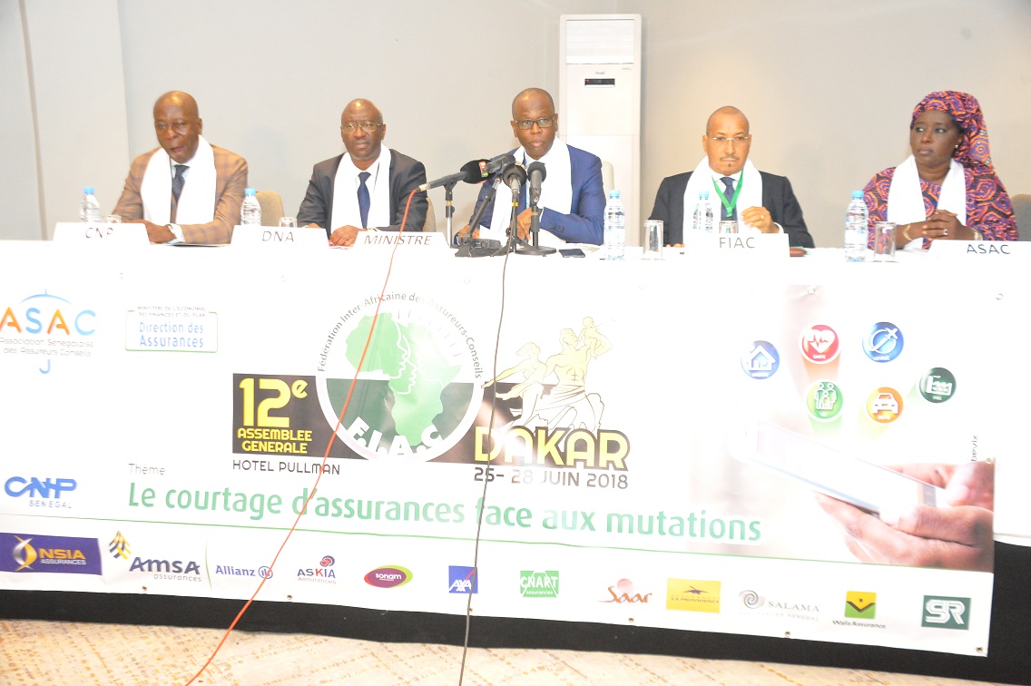 XIIème Assemblée Générale de la Fédération Interafricaine des Assureurs-Conseils: Discours de M. BIRIMA MANGARA, ministre chargé du Budget