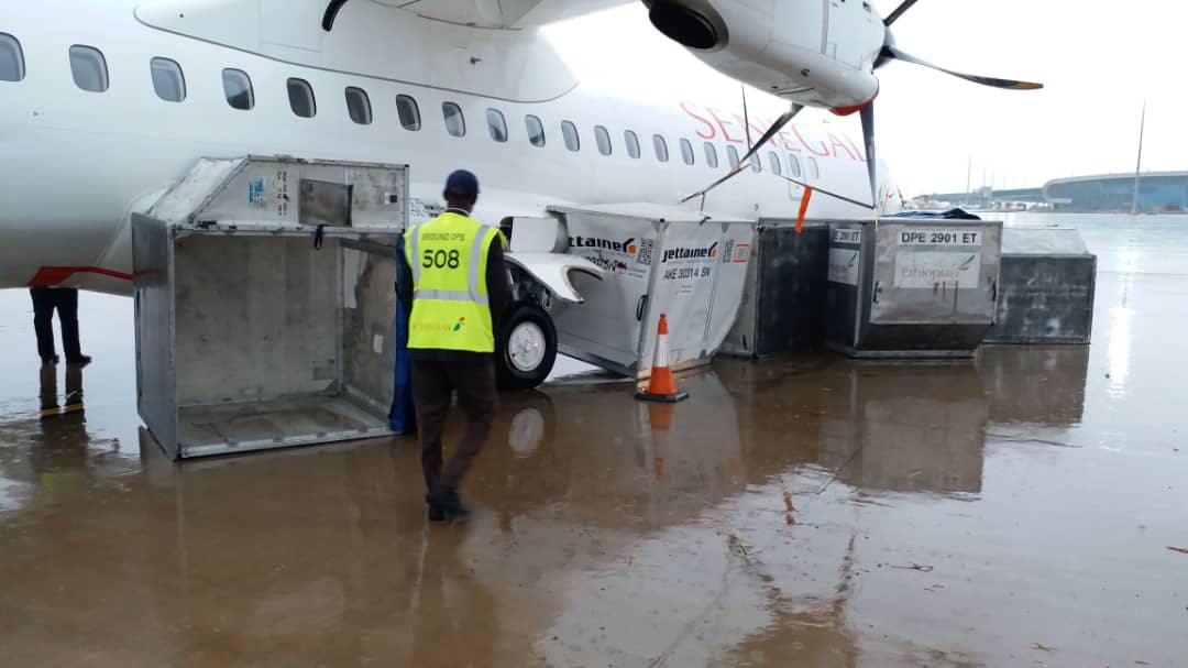 AIBD : Des avions de DHL et de Air Sénégal endommagés et cloués au sol à cause du vent et la pluie (Photos)