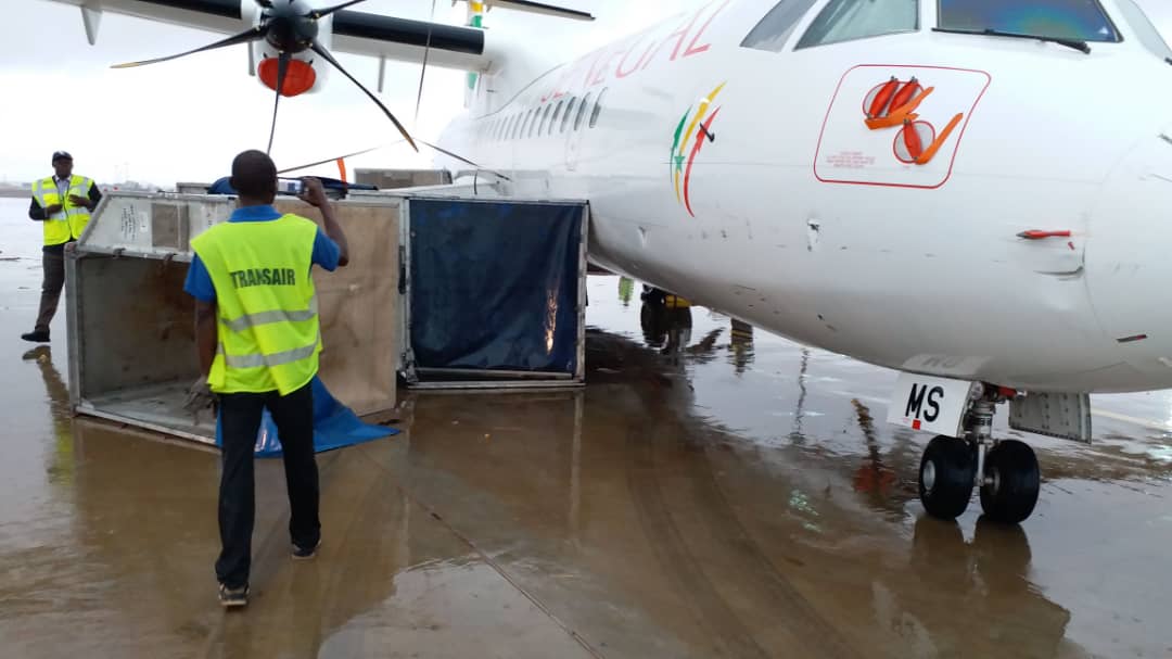 AIBD : Des avions de DHL et de Air Sénégal endommagés et cloués au sol à cause du vent et la pluie (Photos)