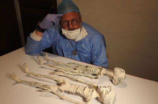 Les Momies de Nazca serait une nouvelle espèce humaine selon un chercheur