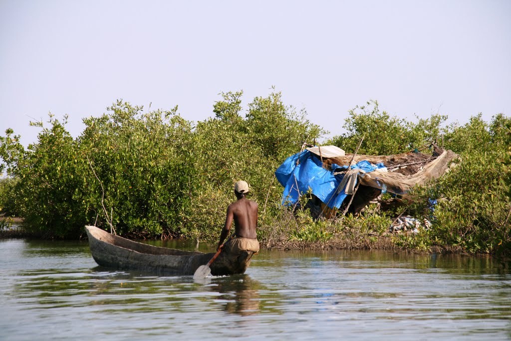 Non, la Casamance, on ne joue pas avec ! (CAVE DE L’APR)