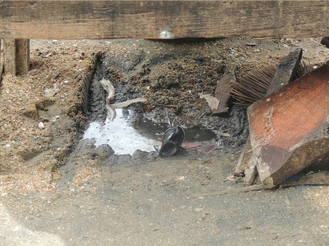 Photos inédites du calvaire des Mbourois : La petite côte est pourtant réputée être une destination touristique prisée