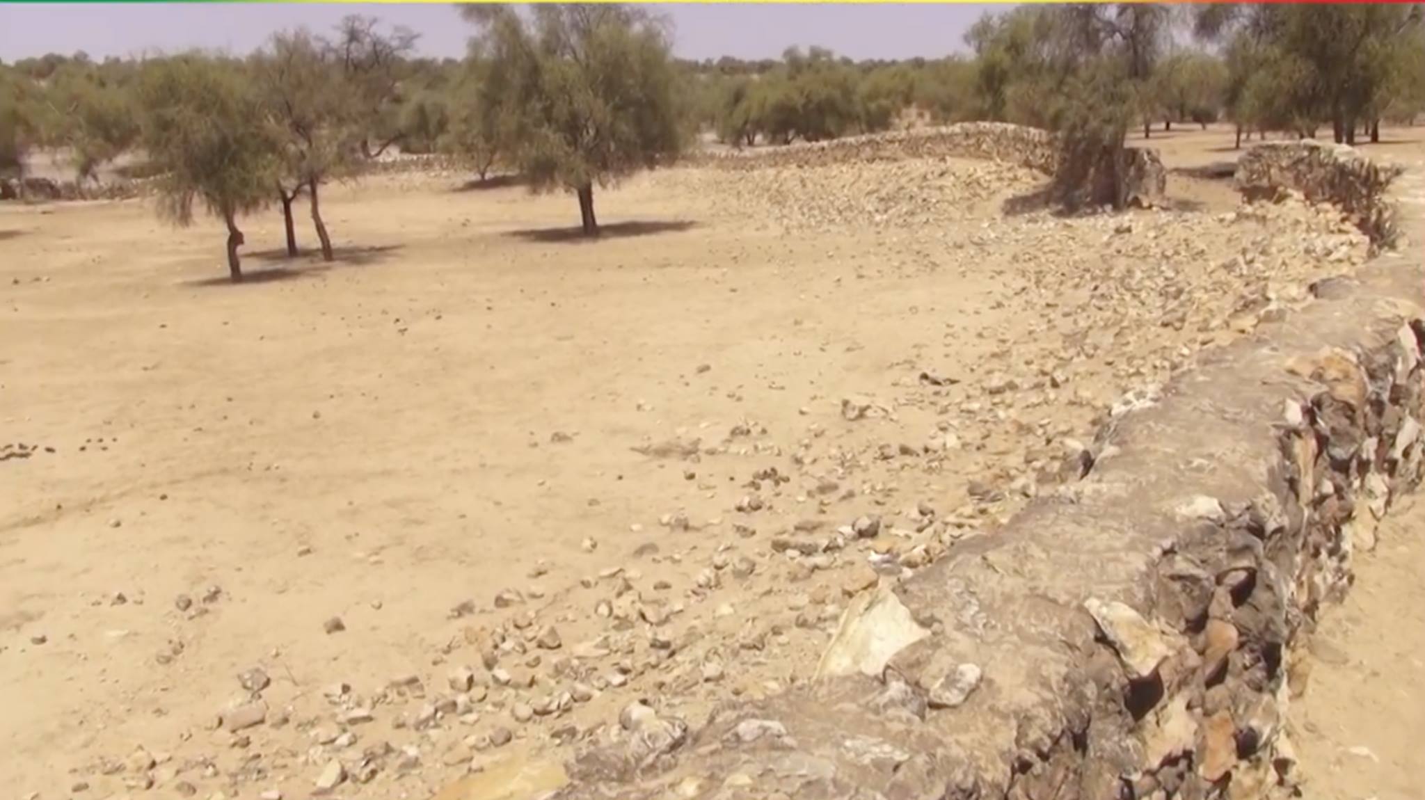 Ce qui reste de Yang-Yang, capitale de l'empire du Djolof avec sa ...