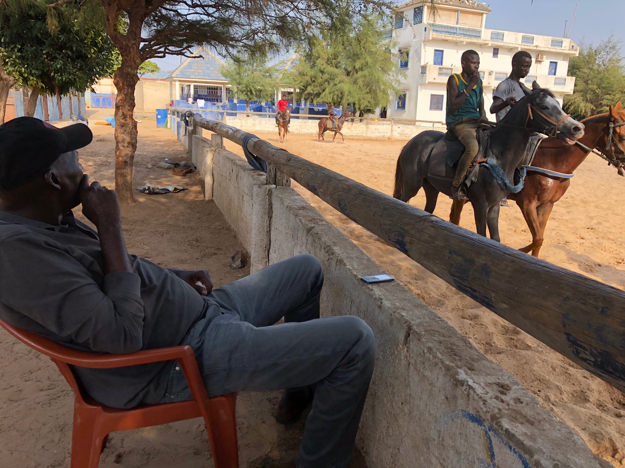 Bathie Diop transitaire , un grand amour entre lui et les chevaux